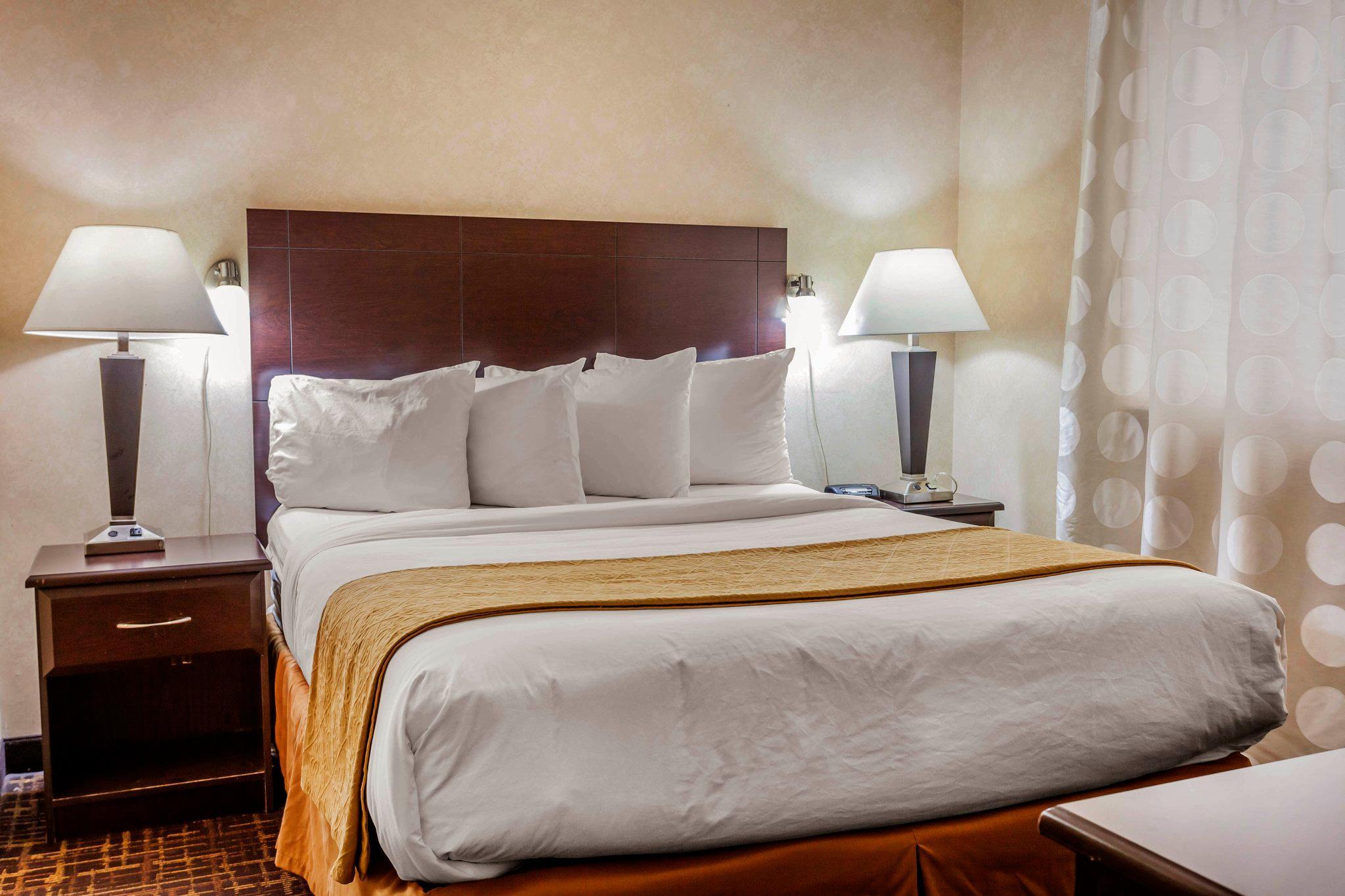 Quality Inn ארלינגטון מראה חיצוני תמונה