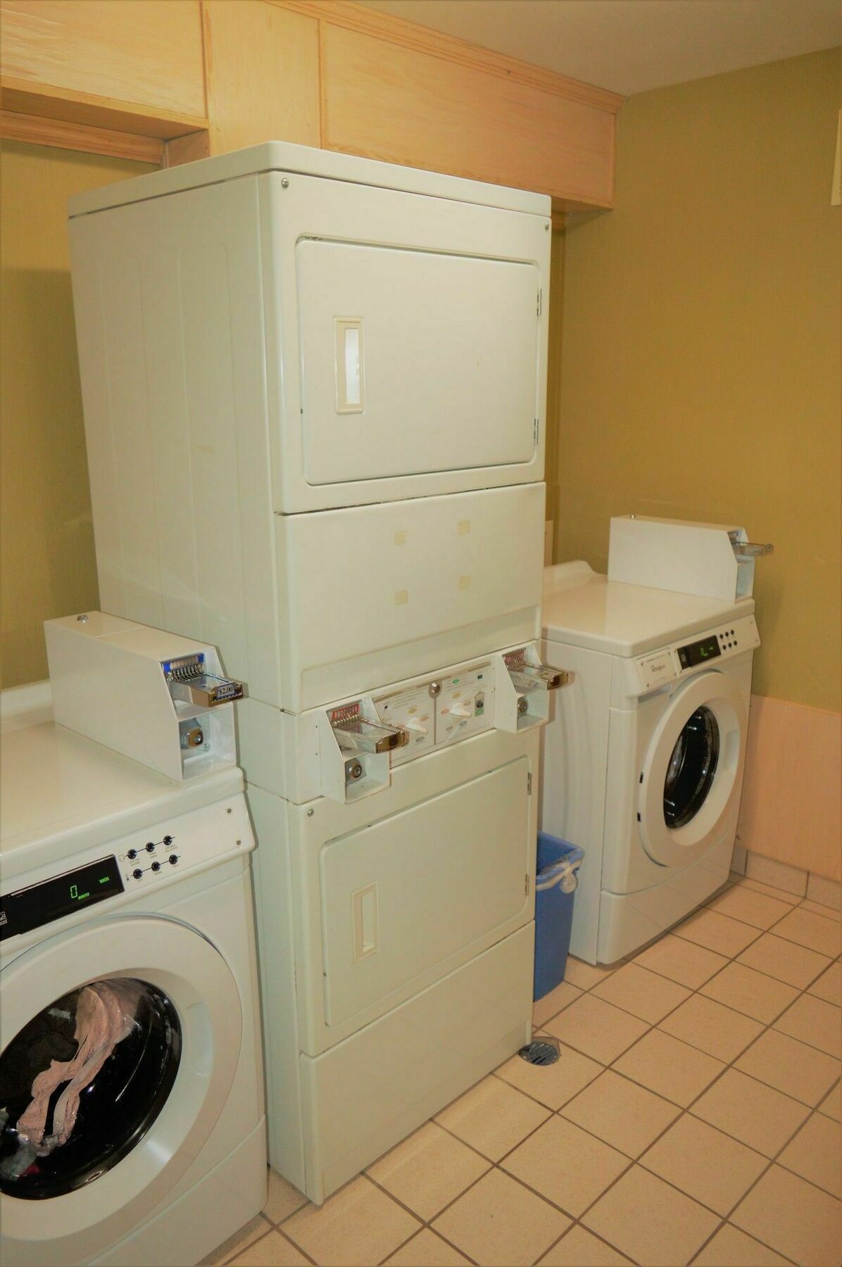 Quality Inn ארלינגטון מראה חיצוני תמונה